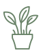 Perennial foliage varieties