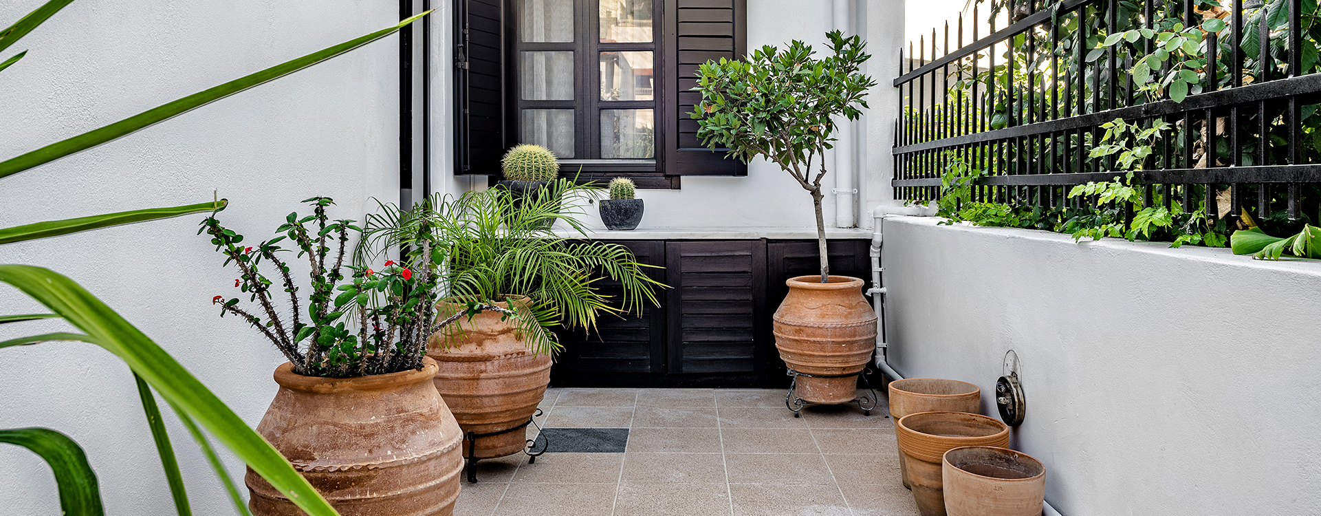 Sustainable botanical lifestyle